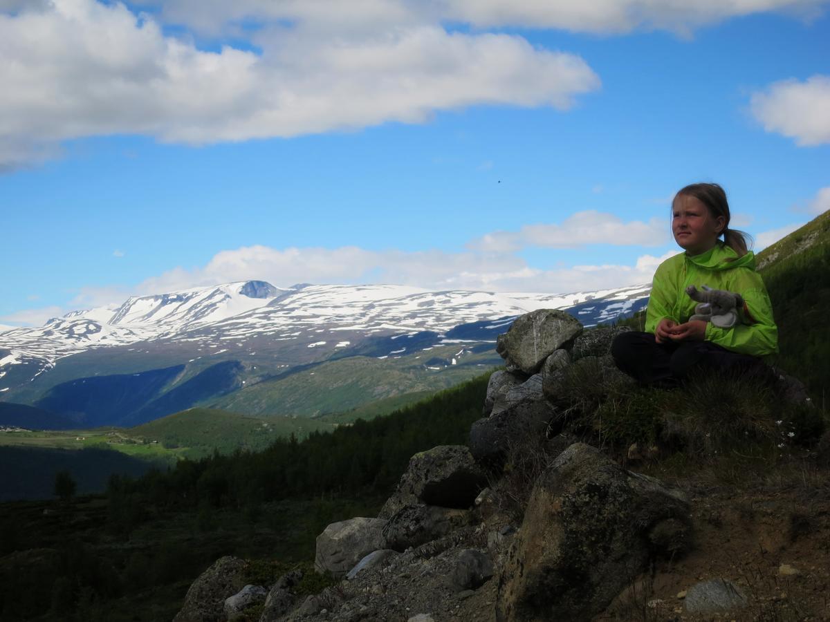 Strind Gard, Visdalssetra Villa Boverdalen Bagian luar foto