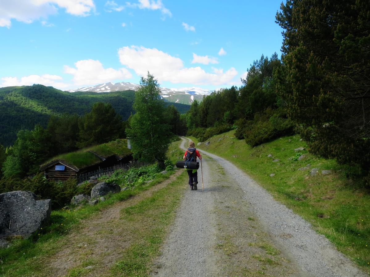 Strind Gard, Visdalssetra Villa Boverdalen Bagian luar foto